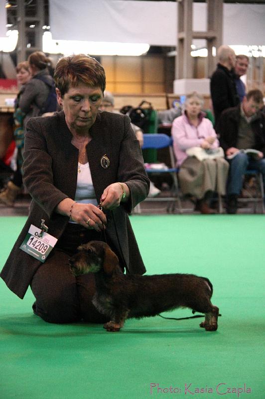 Crufts2011_2 1560.jpg